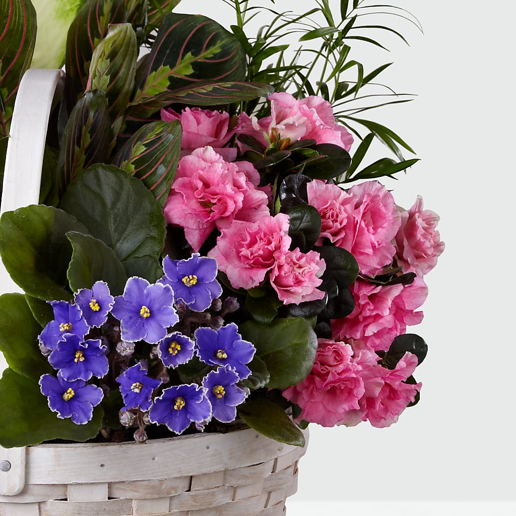 Peaceful Garden Planter – Usaflorist.com, Tontitown AR