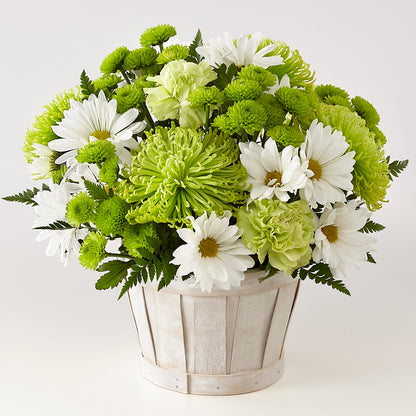 Lucky Charm Basket (Standard) –  Usaflorist.com, Tontitown AR