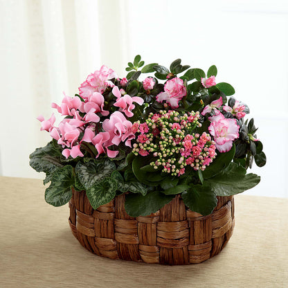 Pink Assortment –  Usaflorist.com, Tontitown AR