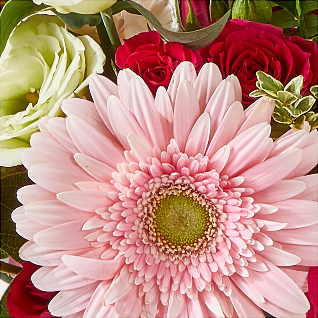 Too Cute Bouquet –  Usaflorist.com, Tontitown AR