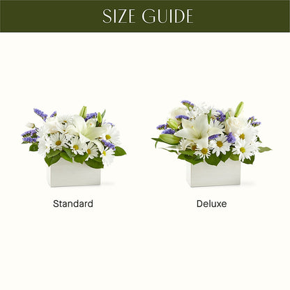 Beyond Blue Box Bouquet –  Usaflorist.com, Tontitown AR