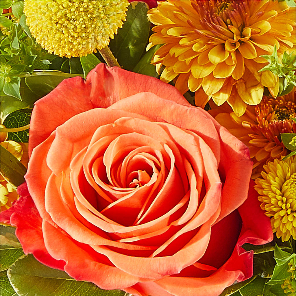 Gourdgeous Pumpkin –  Usaflorist.com, Tontitown AR