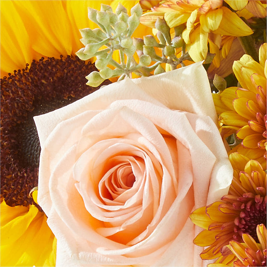 Pumpkin to Talk About Bouquet –  Usaflorist.com, Tontitown AR