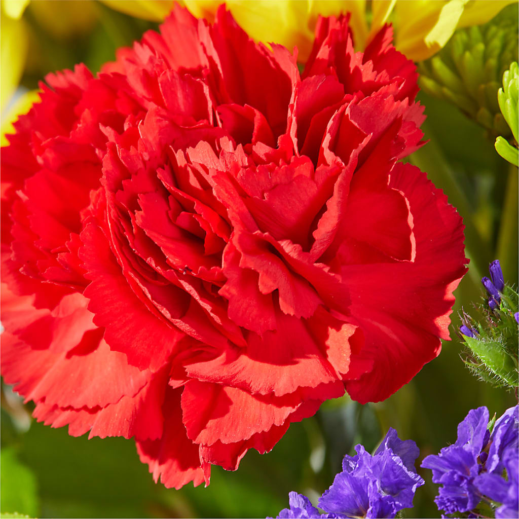 Brighter Days Bouquet –  Usaflorist.com, Tontitown AR