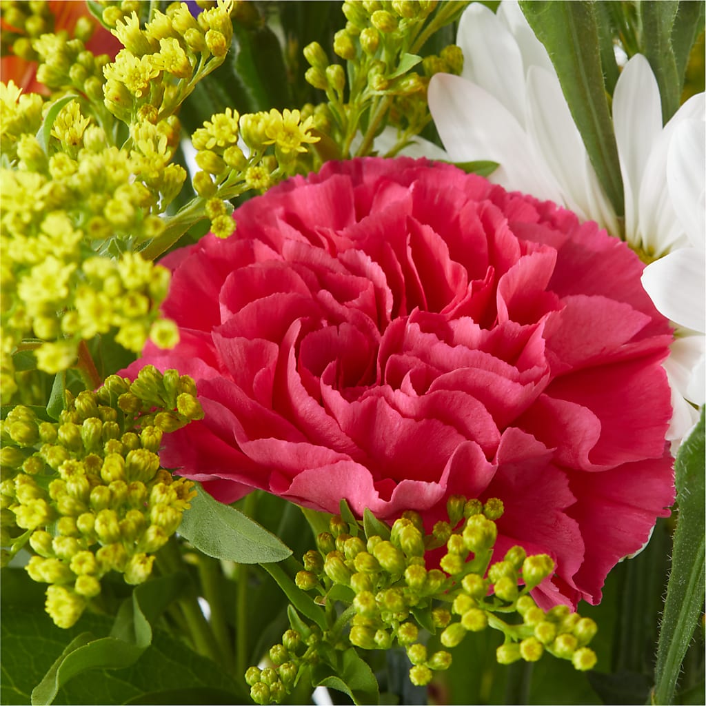Oopsie Daisy Bouquet –  Usaflorist.com, Tontitown AR