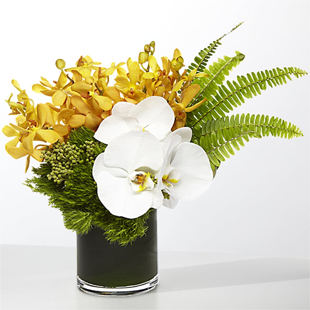 The Tropics –  Usaflorist.com, Tontitown AR