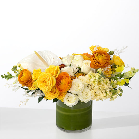 The Optimist –  Usaflorist.com, Tontitown AR