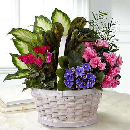 Peaceful Garden Planter –  Usaflorist.com, Tontitown AR