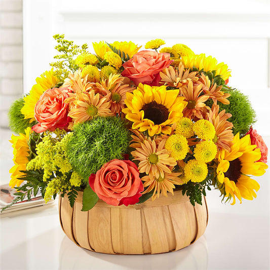 Harvest Sunflower Basket –  Usaflorist.com, Tontitown AR