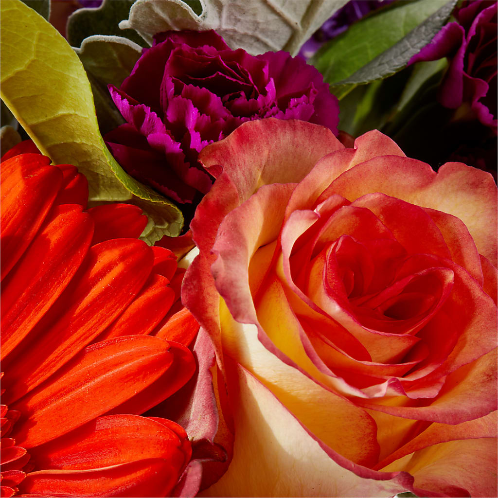 Sangria Bouquet –  Usaflorist.com, Tontitown AR