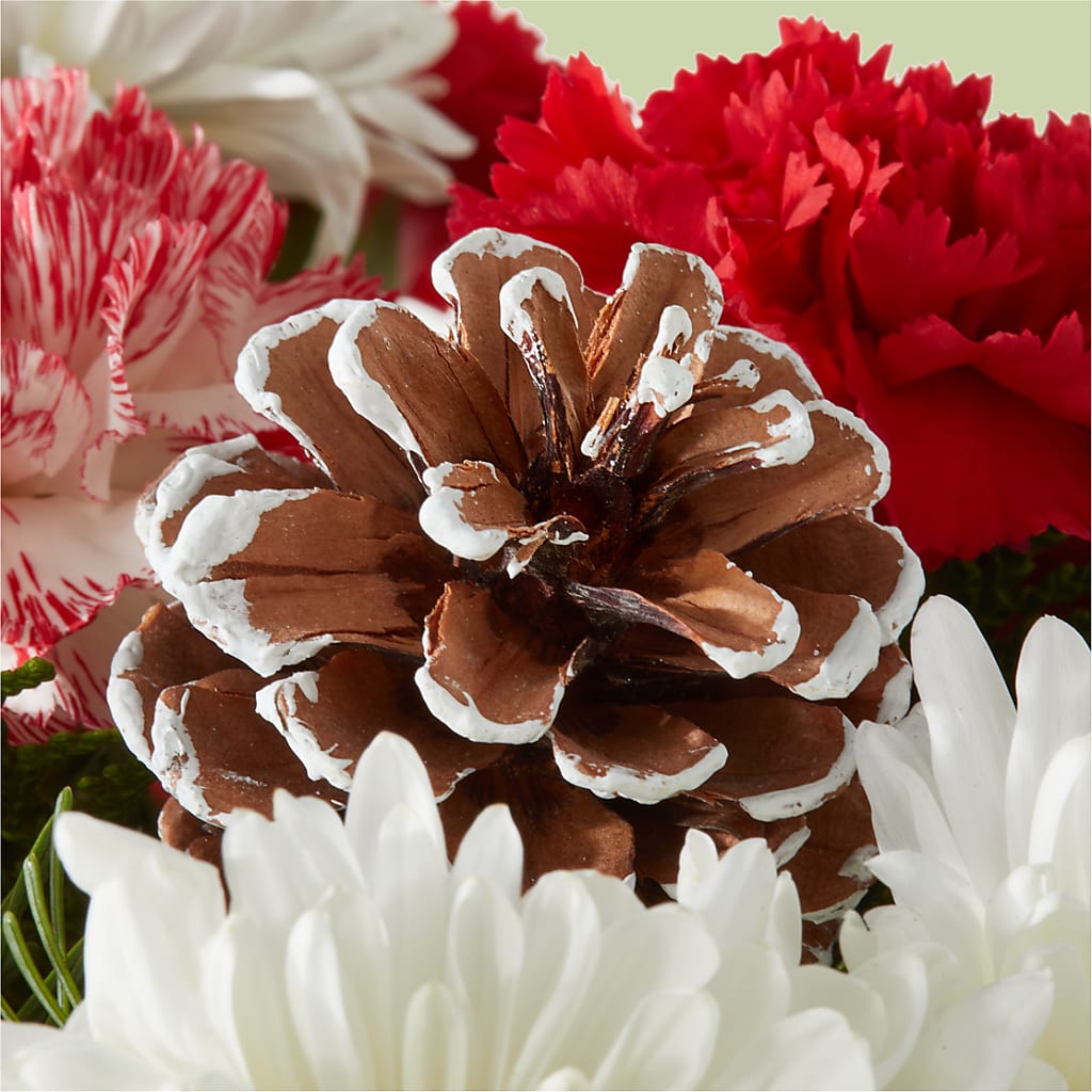 Candy Cane Lane Bouquet –  Usaflorist.com, Tontitown AR