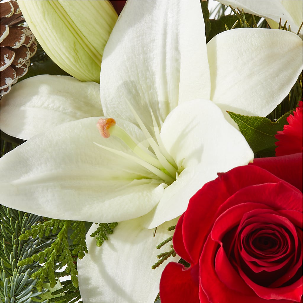 Oh So Jolly Bouquet –  Usaflorist.com, Tontitown AR