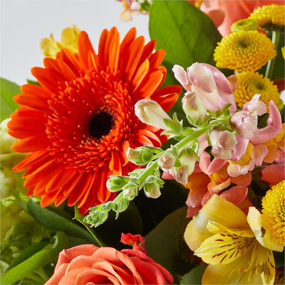 Autumn Sunshine Bouquet –  Usaflorist.com, Tontitown AR