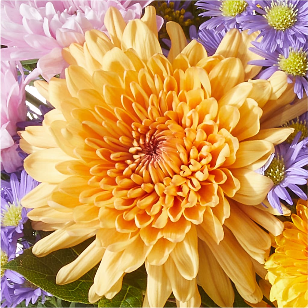 Countryside Bouquet –  Usaflorist.com, Tontitown AR