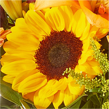 Seasons Change Bouquet –  Usaflorist.com, Tontitown AR