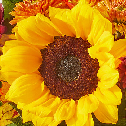 Sunny Side Bouquet –  Usaflorist.com, Tontitown AR