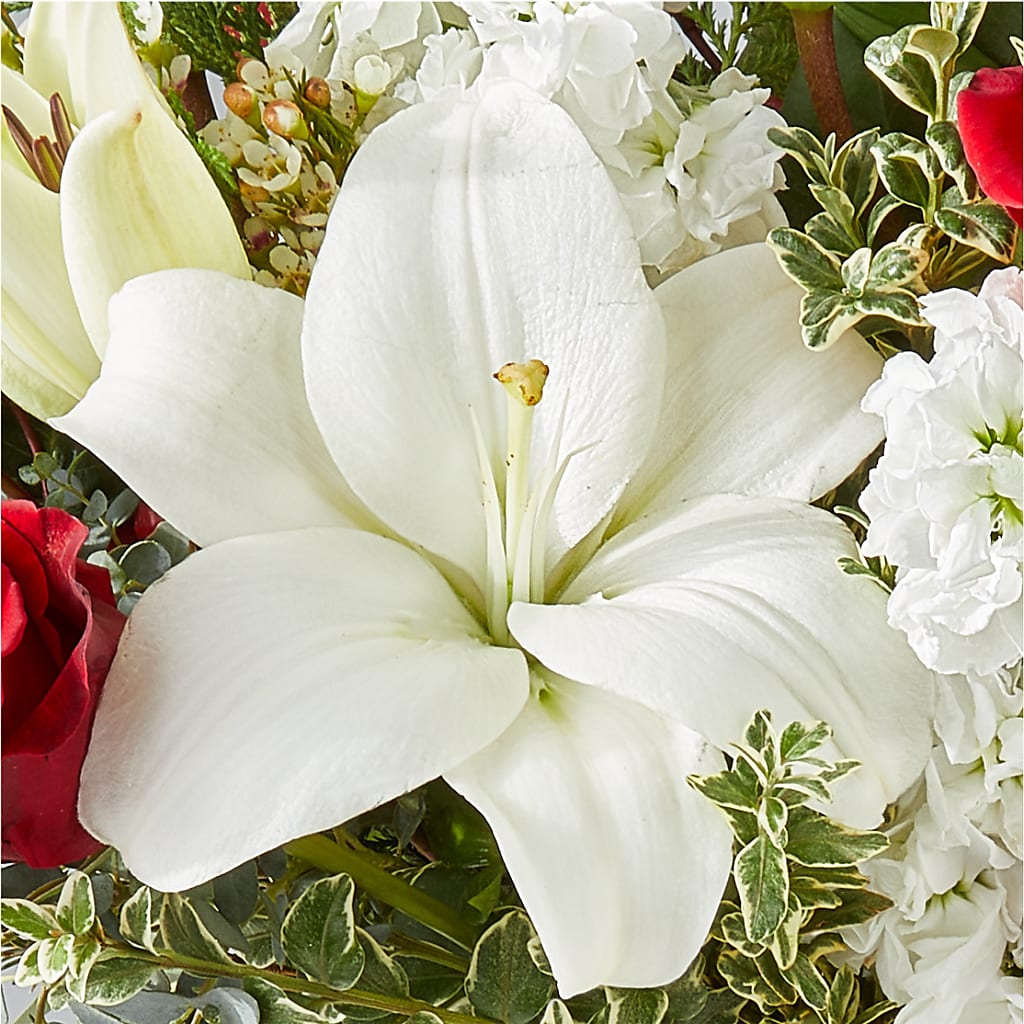 Twinkle Lights Bouquet –  Usaflorist.com, Tontitown AR