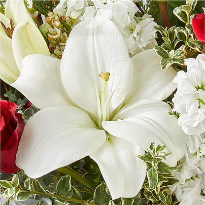 Twinkle Lights Bouquet –  Usaflorist.com, Tontitown AR