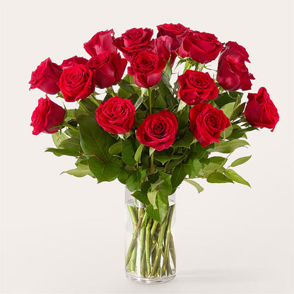 The One Red Rose Bouquet –  Usaflorist.com, Tontitown AR