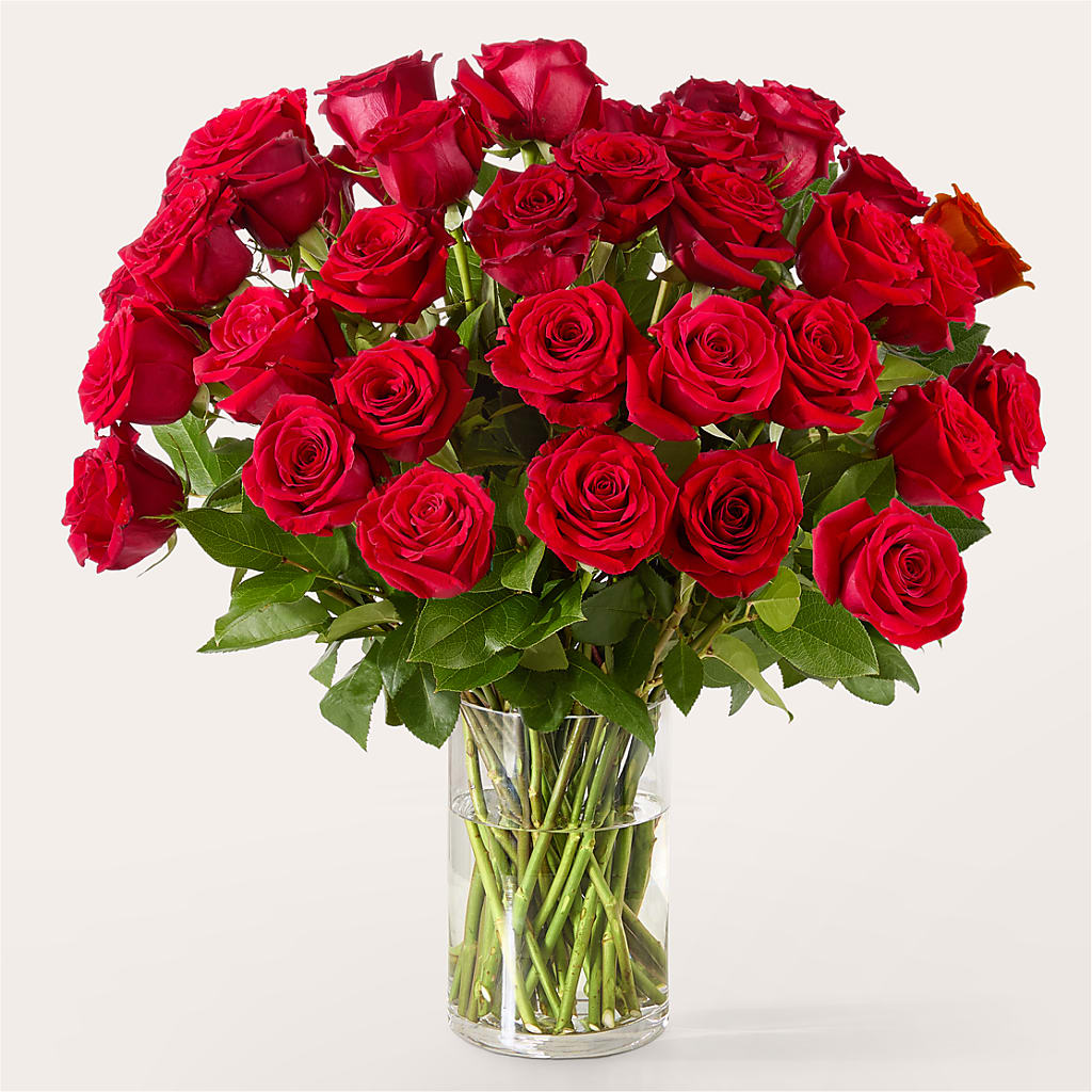 The One Red Rose Bouquet –  Usaflorist.com, Tontitown AR