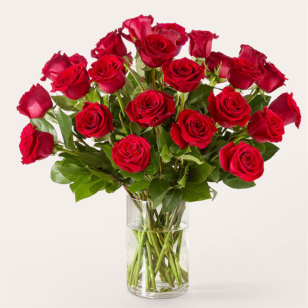 The One Red Rose Bouquet –  Usaflorist.com, Tontitown AR